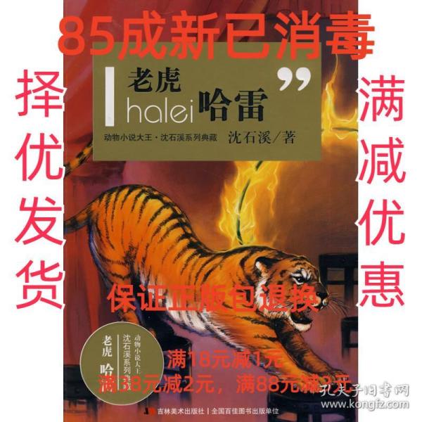 醉虎最新小說揭秘，未知世界的魅力與奇幻探索