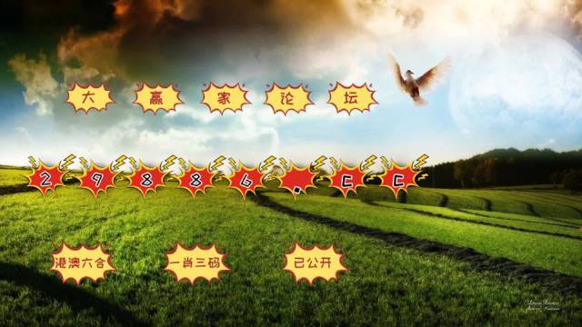 2024澳門天天六開彩開獎(jiǎng)結(jié)果,實(shí)地?cái)?shù)據(jù)驗(yàn)證策略_4K36.997