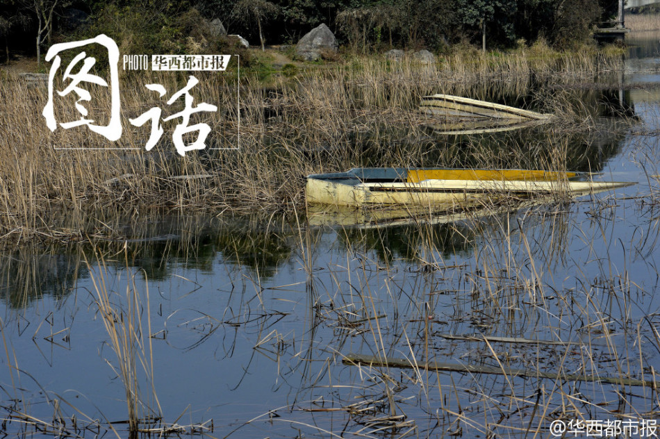 成都北湖公園全新風貌與活動火爆盛況