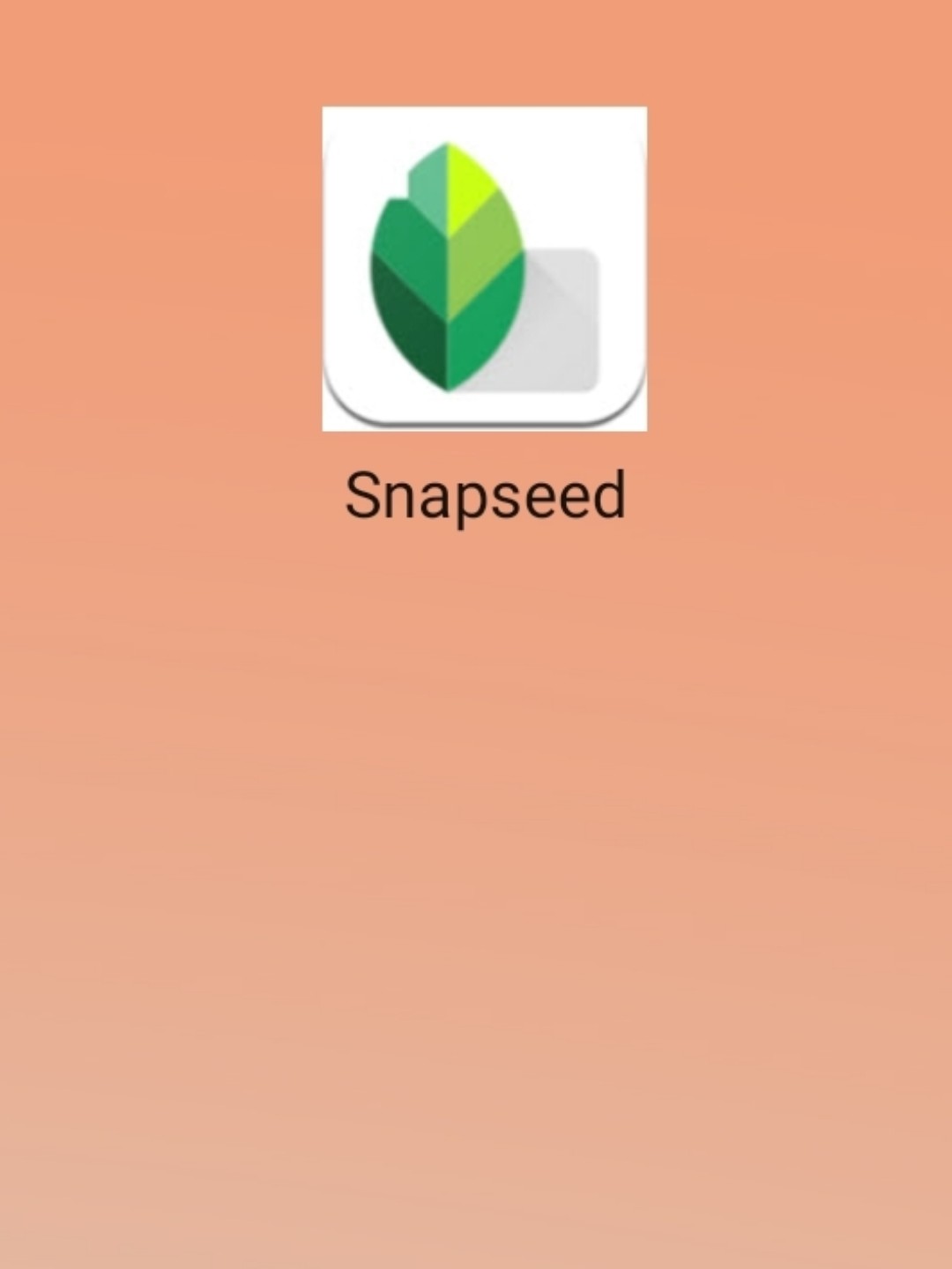 Snapseed最新版，開啟專業(yè)攝影編輯新境界