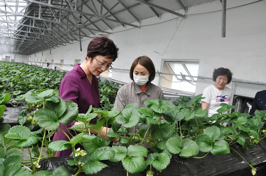 五大連池市人力資源和社會保障局領(lǐng)導團隊最新概況概覽