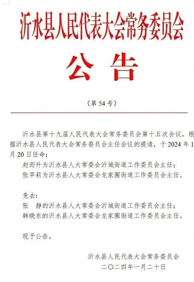 臨沂市外事辦公室人事任命揭曉，新篇章啟幕